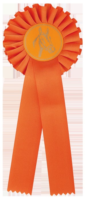 BR00.ORANJE