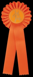 BR00.ORANJE