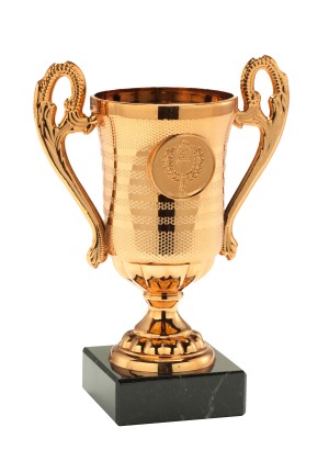 BSET306.03 - bronskleurig