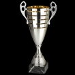 BSLT00 Zilver/Goud